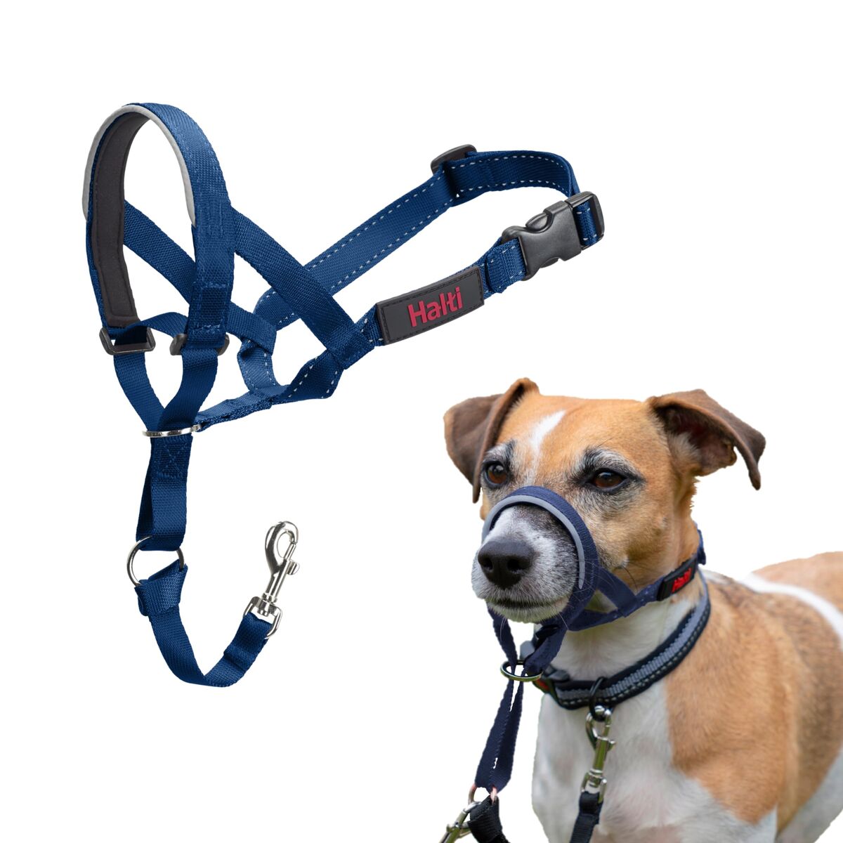 Collars, harnesses and leads