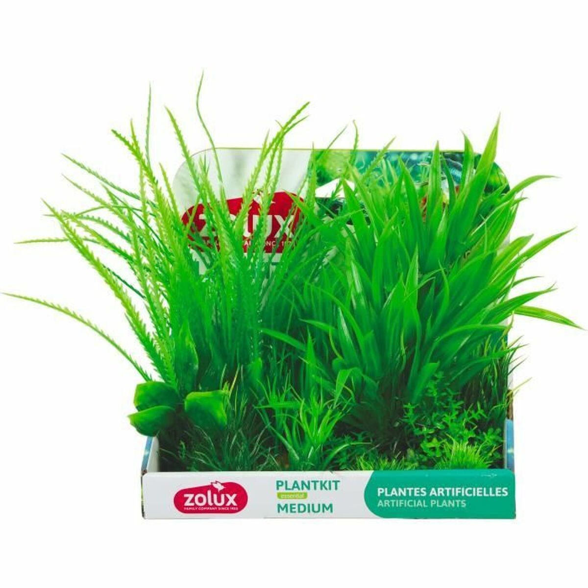 Aquarium plants