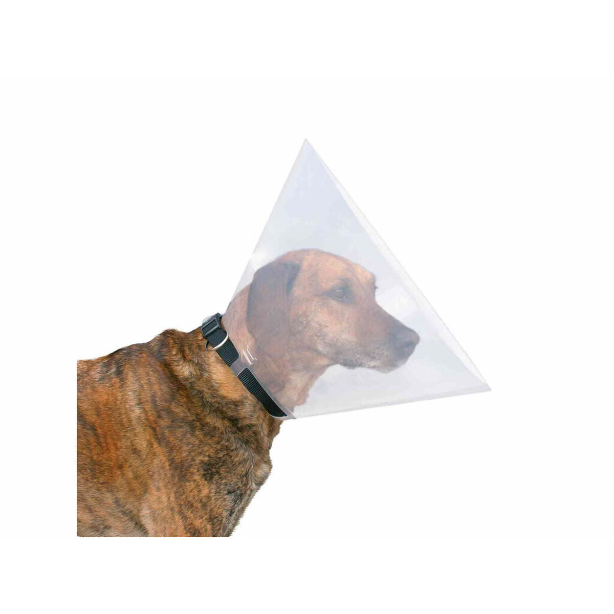 V7HDD219A04C33484F589D65088D6724B4BR7440559P3