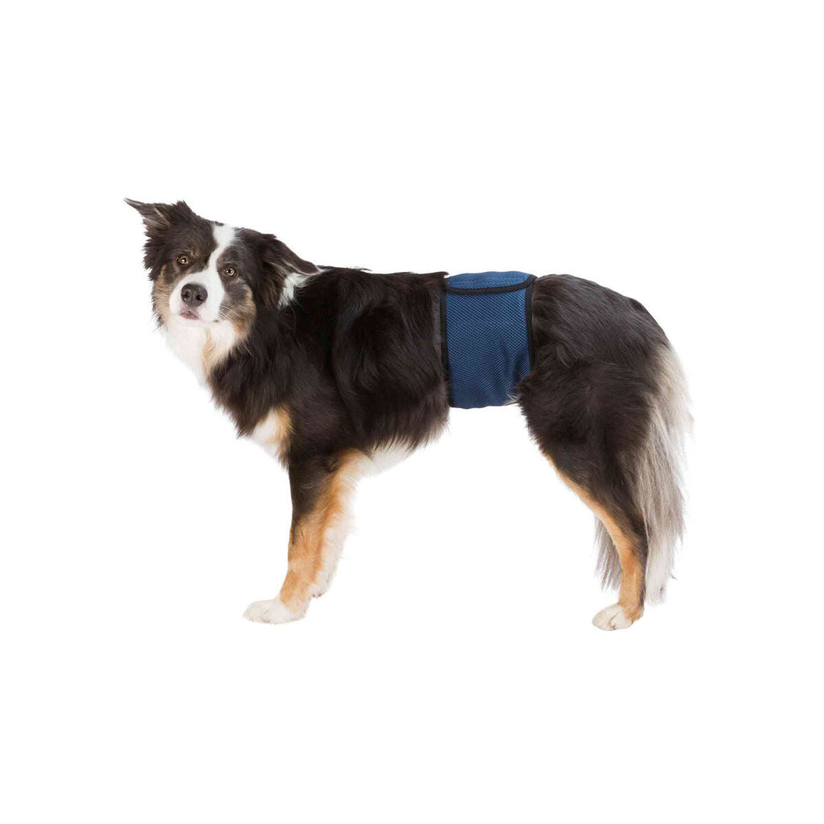 V7HFF6C5D8B6D0783C8DCD40D3C35E03A73R7444162P1