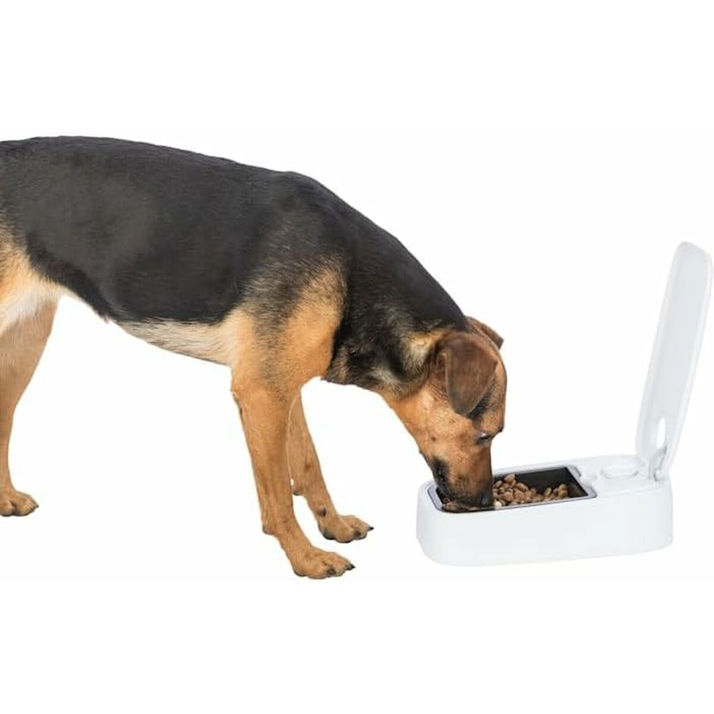 V5HE4AB3F0CF32094EDE9036F805F651020R7461871P9