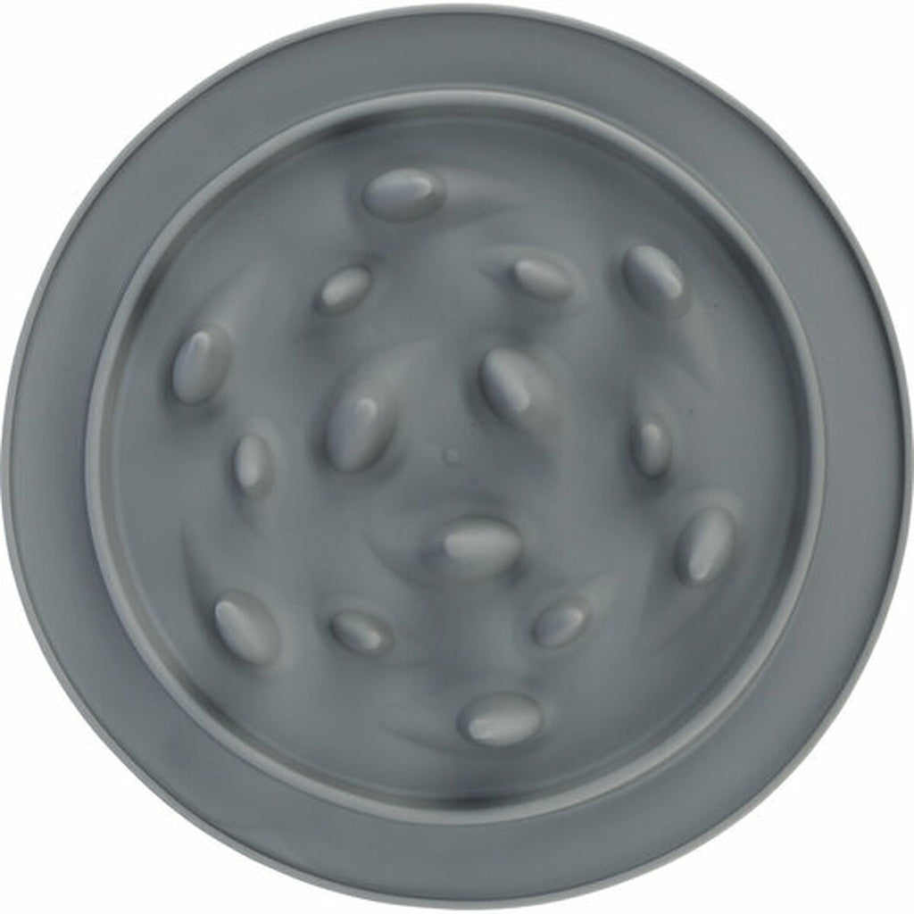 V9H10B2929875E0036F2E574D826E1394FDR7445737P6