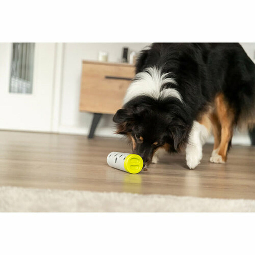 V7H06E3B47427C0FD6CCF0A930D9F9EDF61R7442895P6