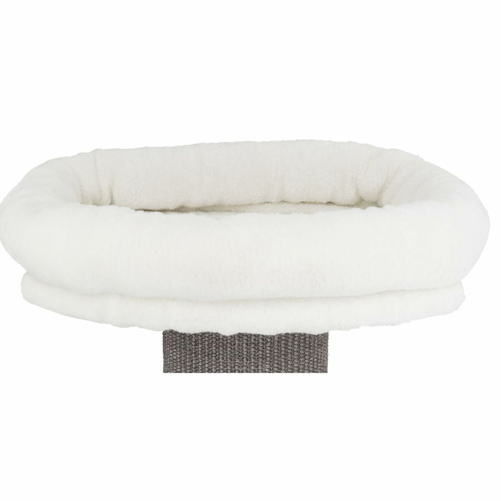 V5HC46BB4A2EBB31D8AAA1AC013E8EDE1E4R5758309P5