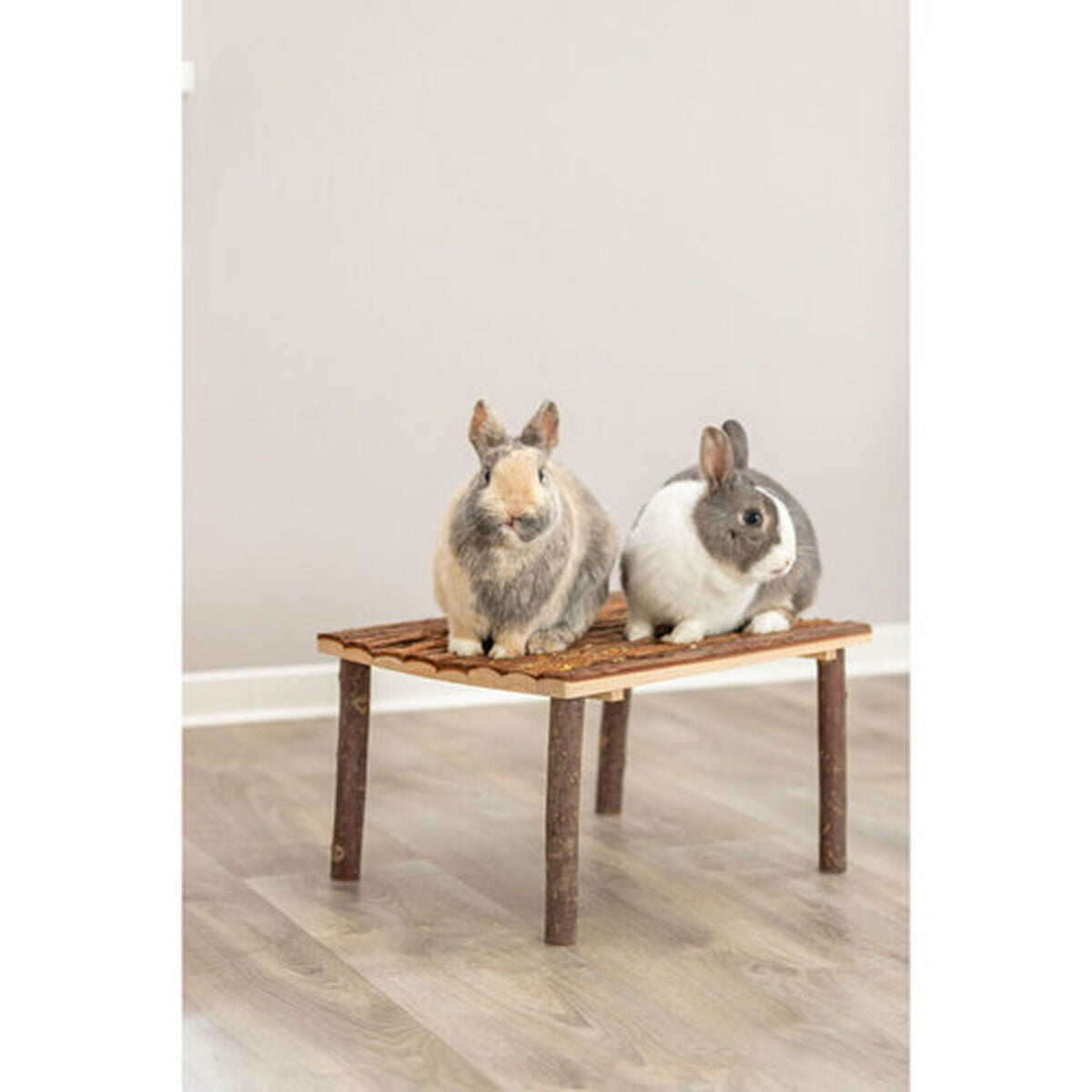 V6HEBD35DFD6632720645170E7B28CCBF38R7451475P10