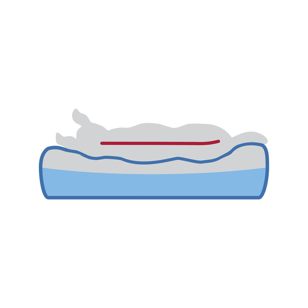 V3H77FB1595508EAEF3E428BDA623FE12FAR7565608P5