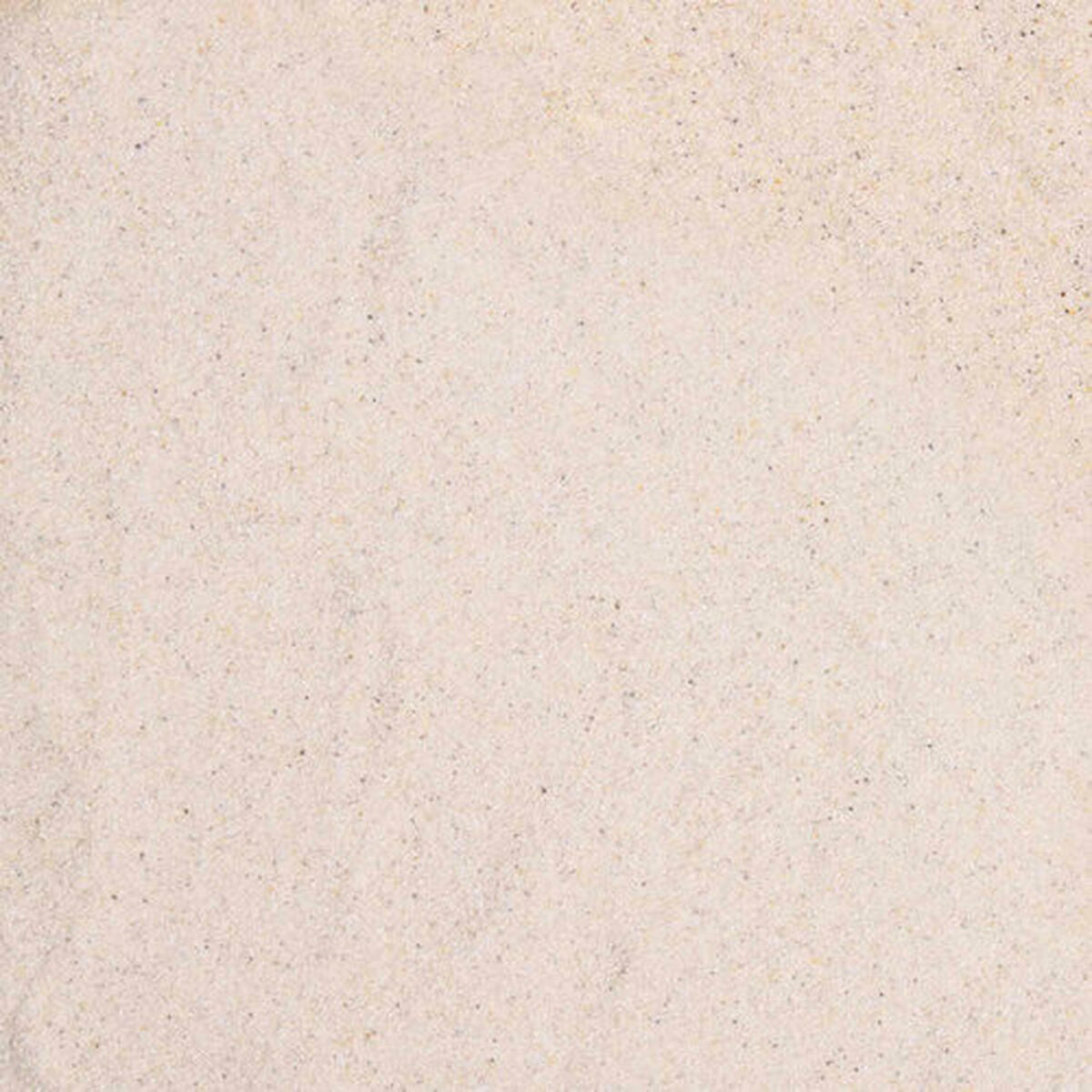 V6HB2F363C3D4F9CD879781D641CB6C149BR7446271P4