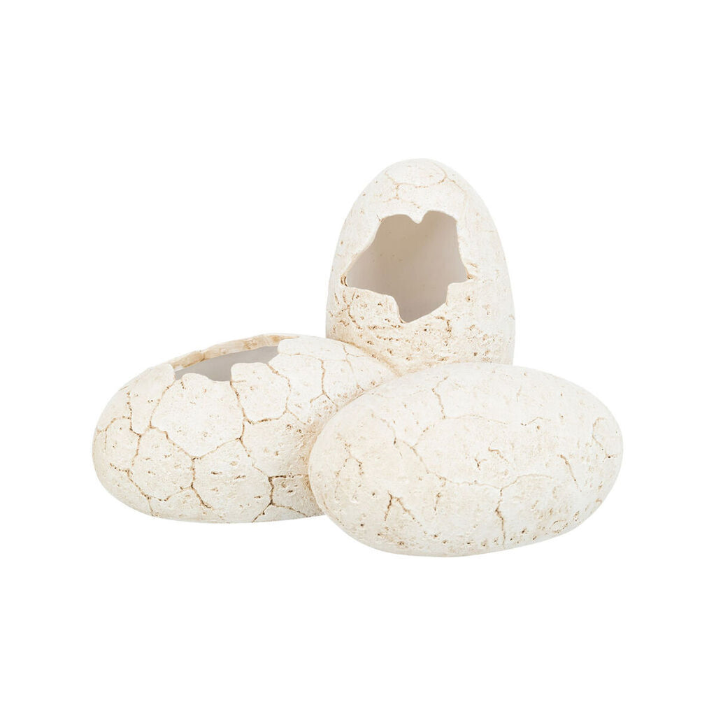 V8H4D3F43D36BFE589FA53012F57CA7793AR7455824P1