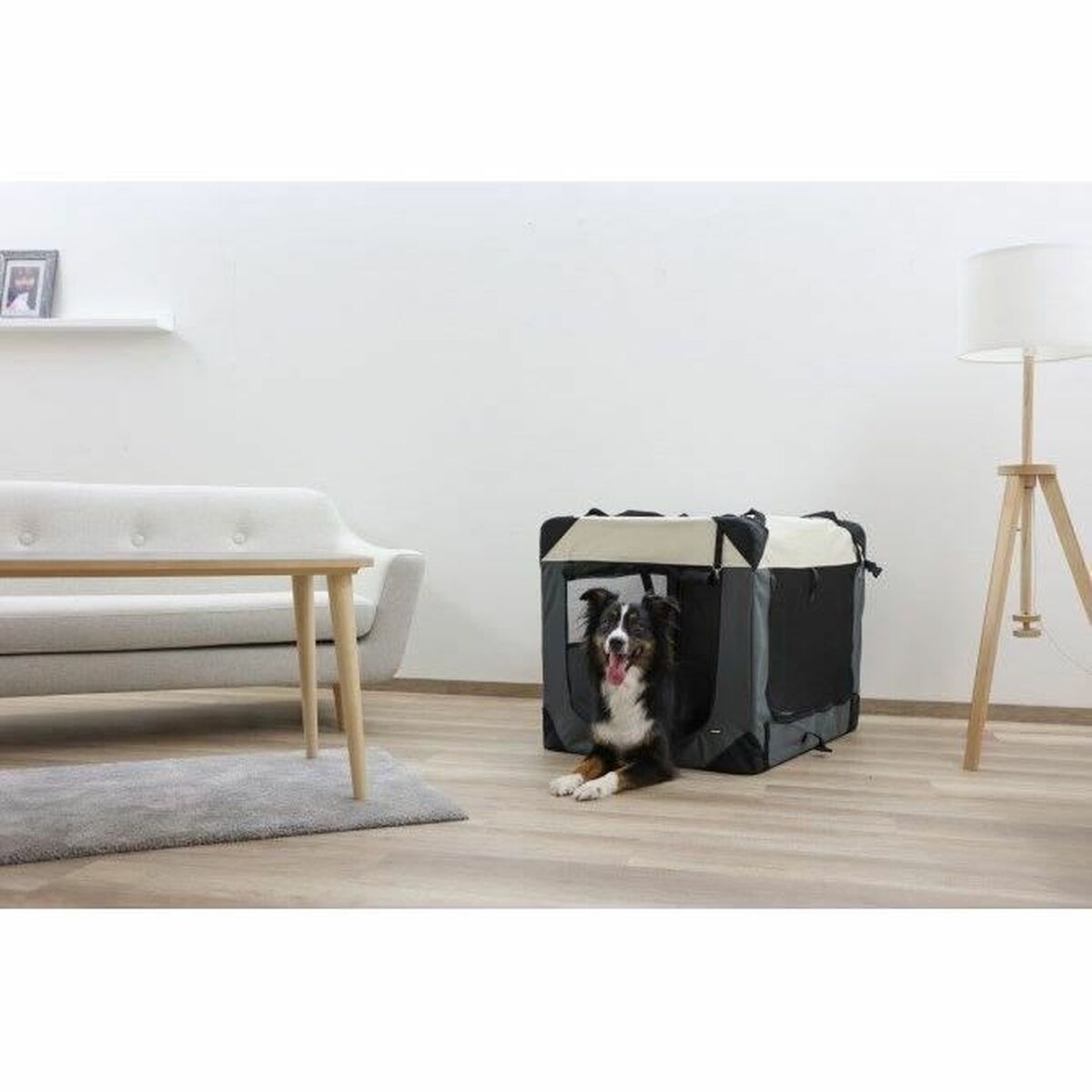 V9H475C1B218037A9417D0A6D1B1B15AA3DR6396027P5