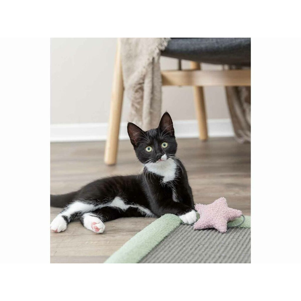 V2HF8BC67BD90CA1FD8E2B965097D704A78R7610874P6