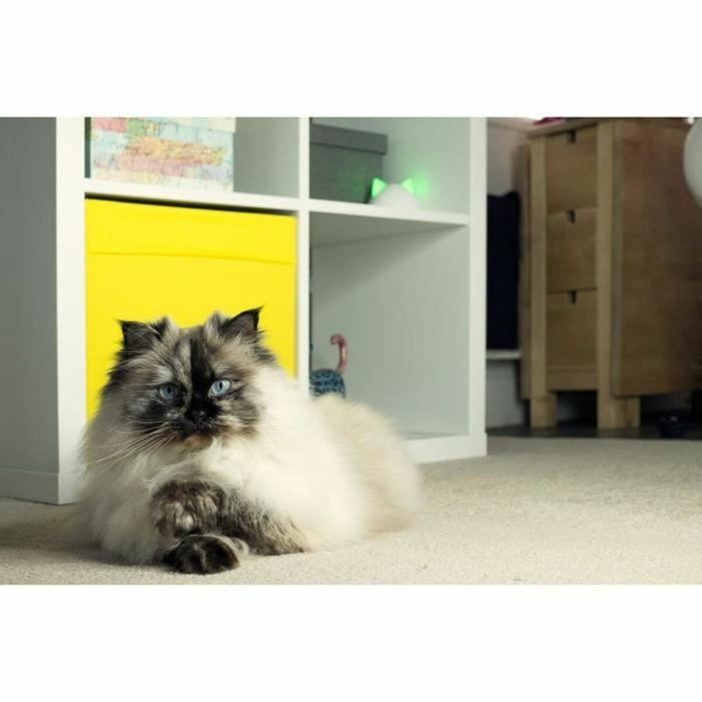 V8H2C682802A5FB8AEA6EA31CC503E1871BR5304065P6