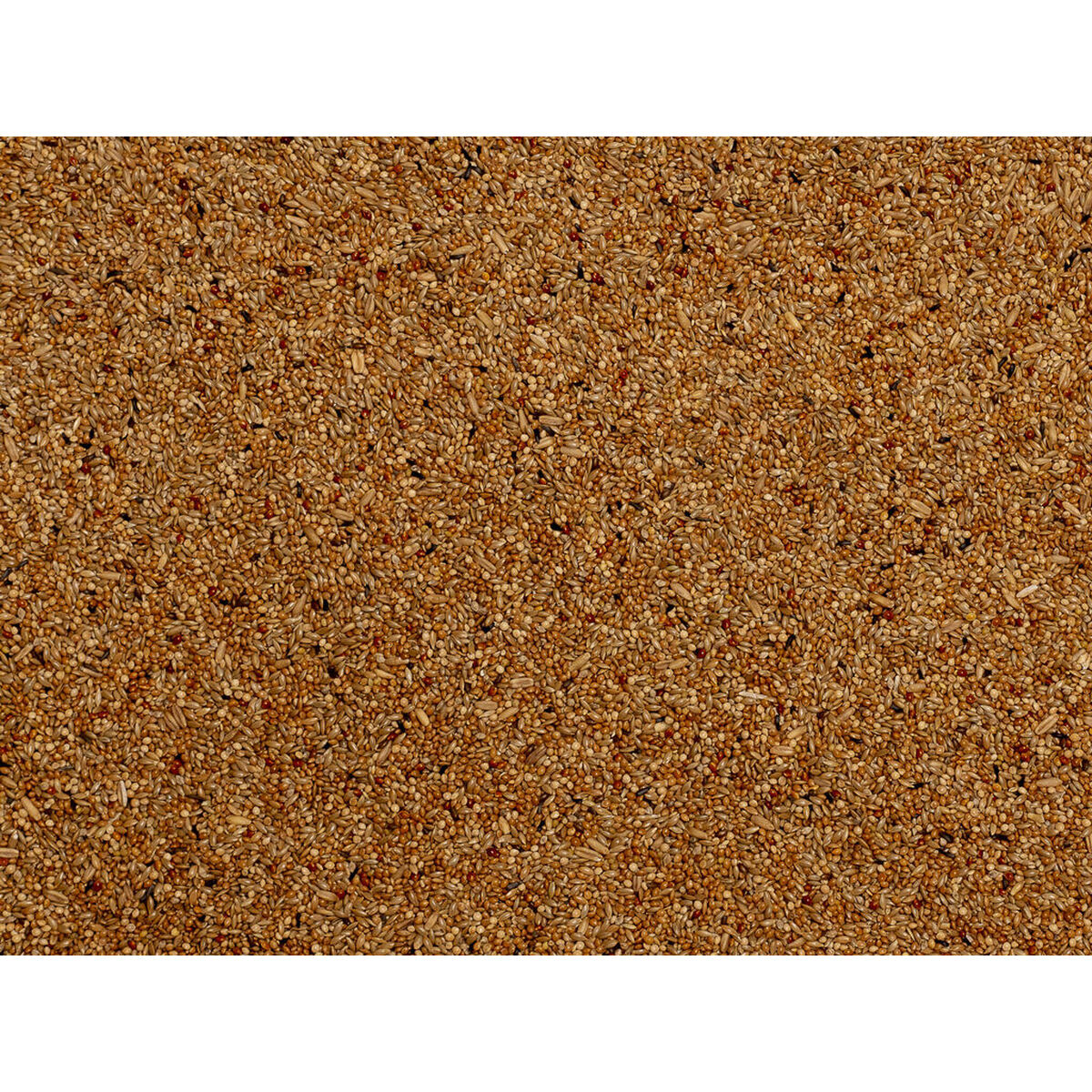 V7HAC1DB2CFFDCDDEAA127486DA36769D5ER7450085P3