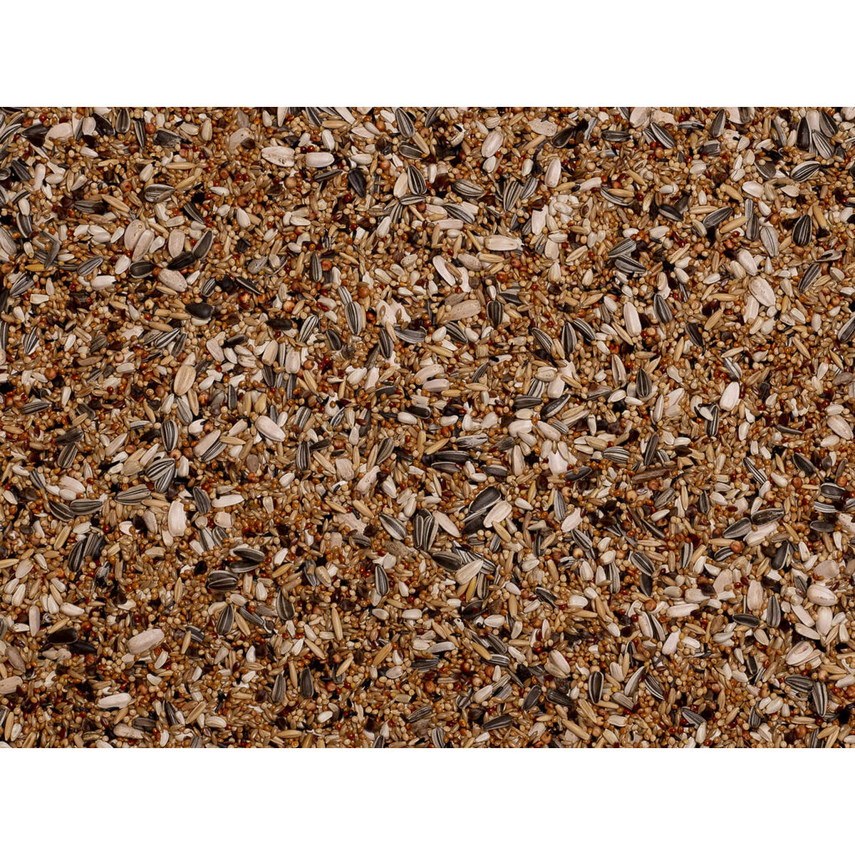 V6H1FF006D7A70F4038B42C7C402FF9E05AR7447924P3