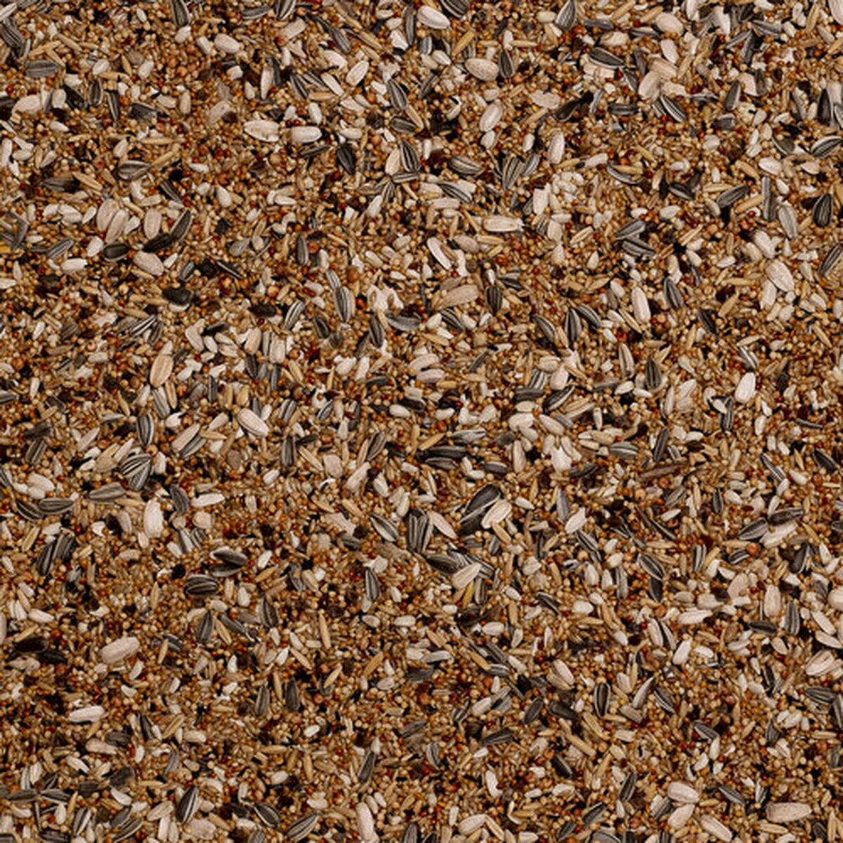 V6HF23AC0768855E6834725AE7953DE0914R7447926P4