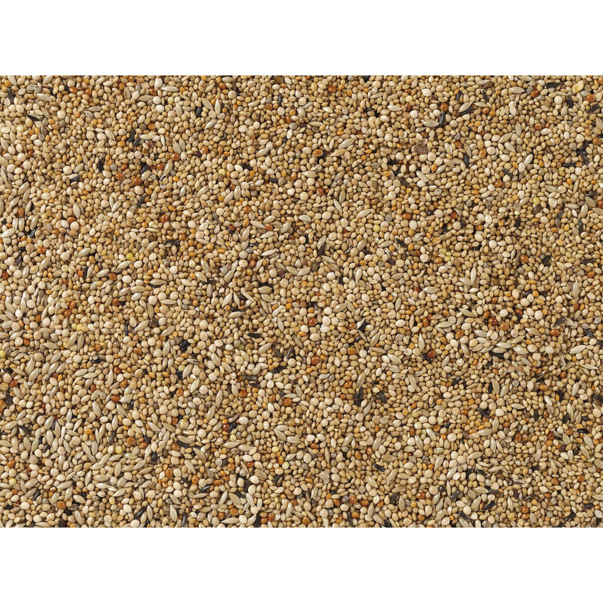 V8HE2F9A7C859C75DEDEAE50180F5B252F7R7450164P3