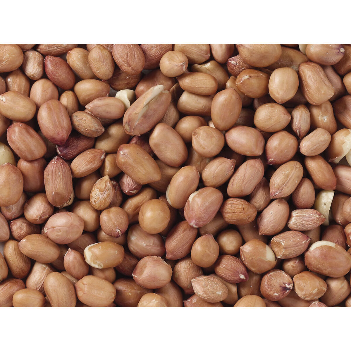 V6H36B6B0E93CA7A72E76B83BE63C00EF58R7449966P3