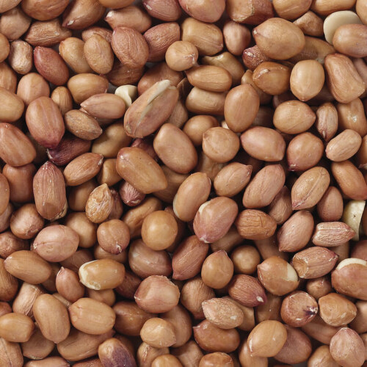 V6HB98269DCF531C91FCD0E2A921E3F511BR7449967P4