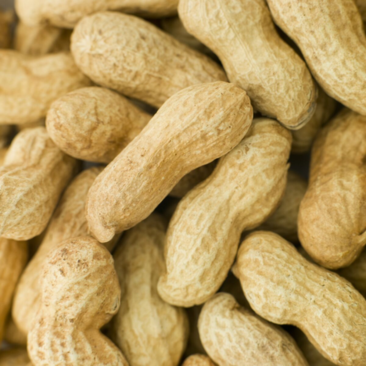 V6HAAB38BB9FBB7383ADD7578CEE74116A7R7447882P4