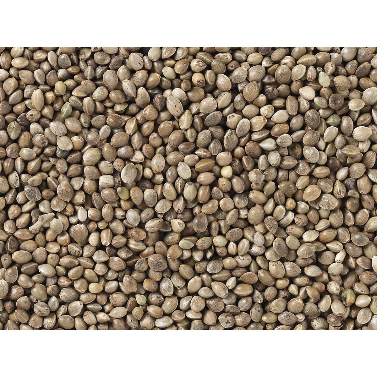 V7H3444AACA27DE0BDF928B67A31FB998A4R7449982P3