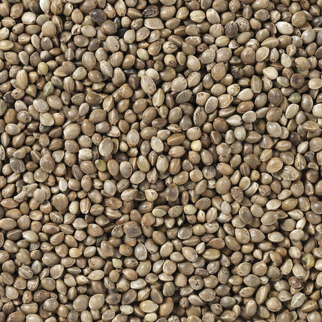 V7H39BCC0A9733A2E4DDC9CCC58BDF7271DR7449983P4