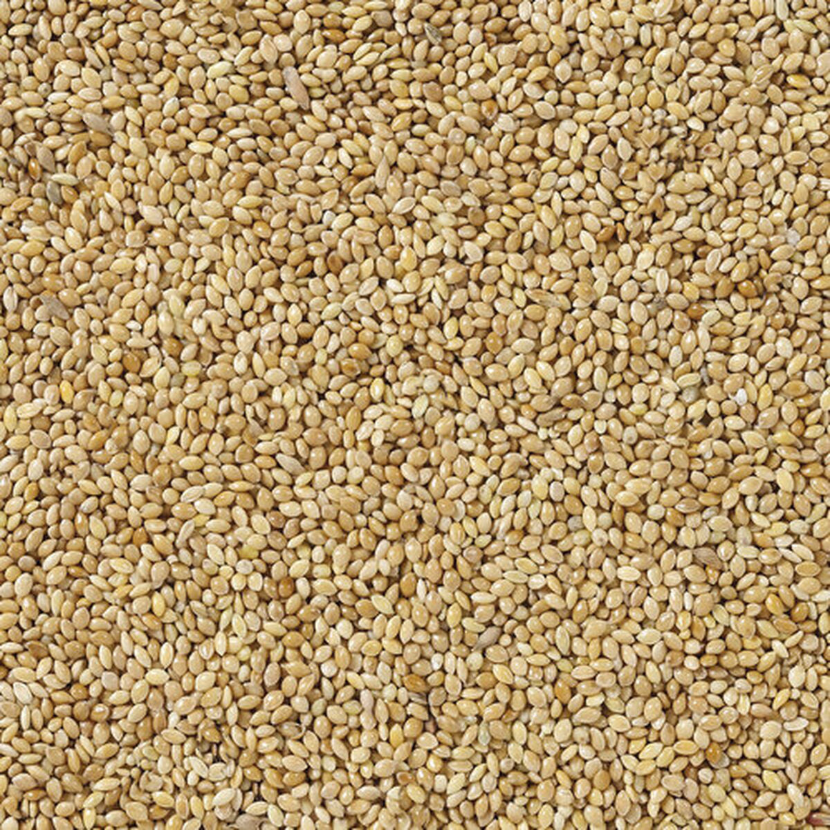 V7H2BF9156AA9C1E9E7F0FA712C40339509R7450059P4