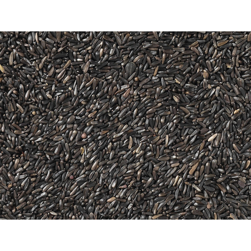 V8H22648DA9AAD5DE7D0A50C4C69AEB4CBFR7450030P3