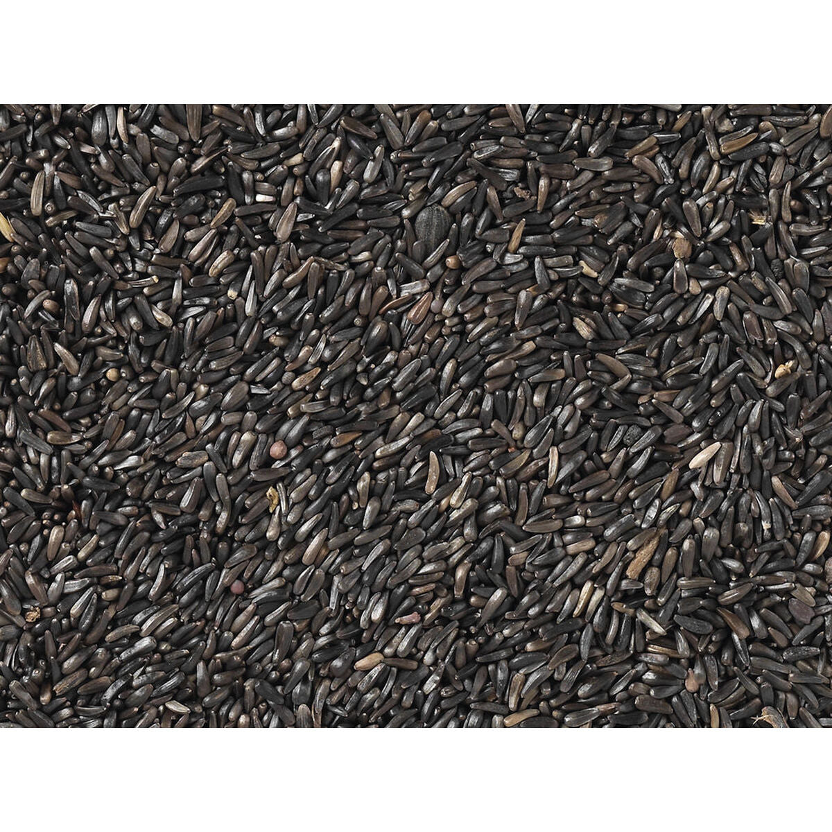 V8H22648DA9AAD5DE7D0A50C4C69AEB4CBFR7450030P3