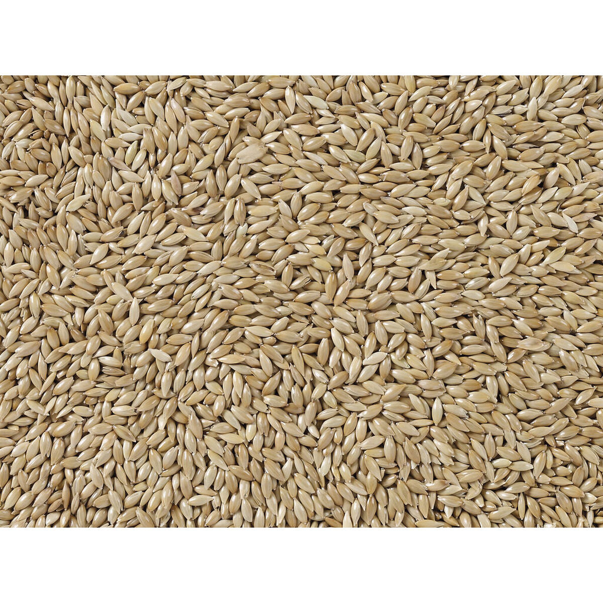 V6HC94A4E8AE24E85E3315BA7C7B66497D8R7450072P3