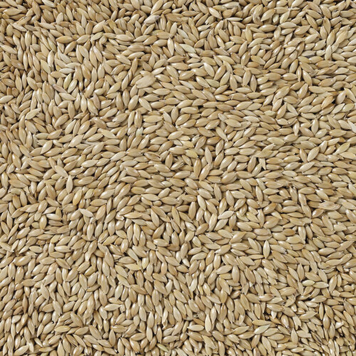 V6HEBE085DAFBADBCCF15D37C5BB3D27C73R7450073P4