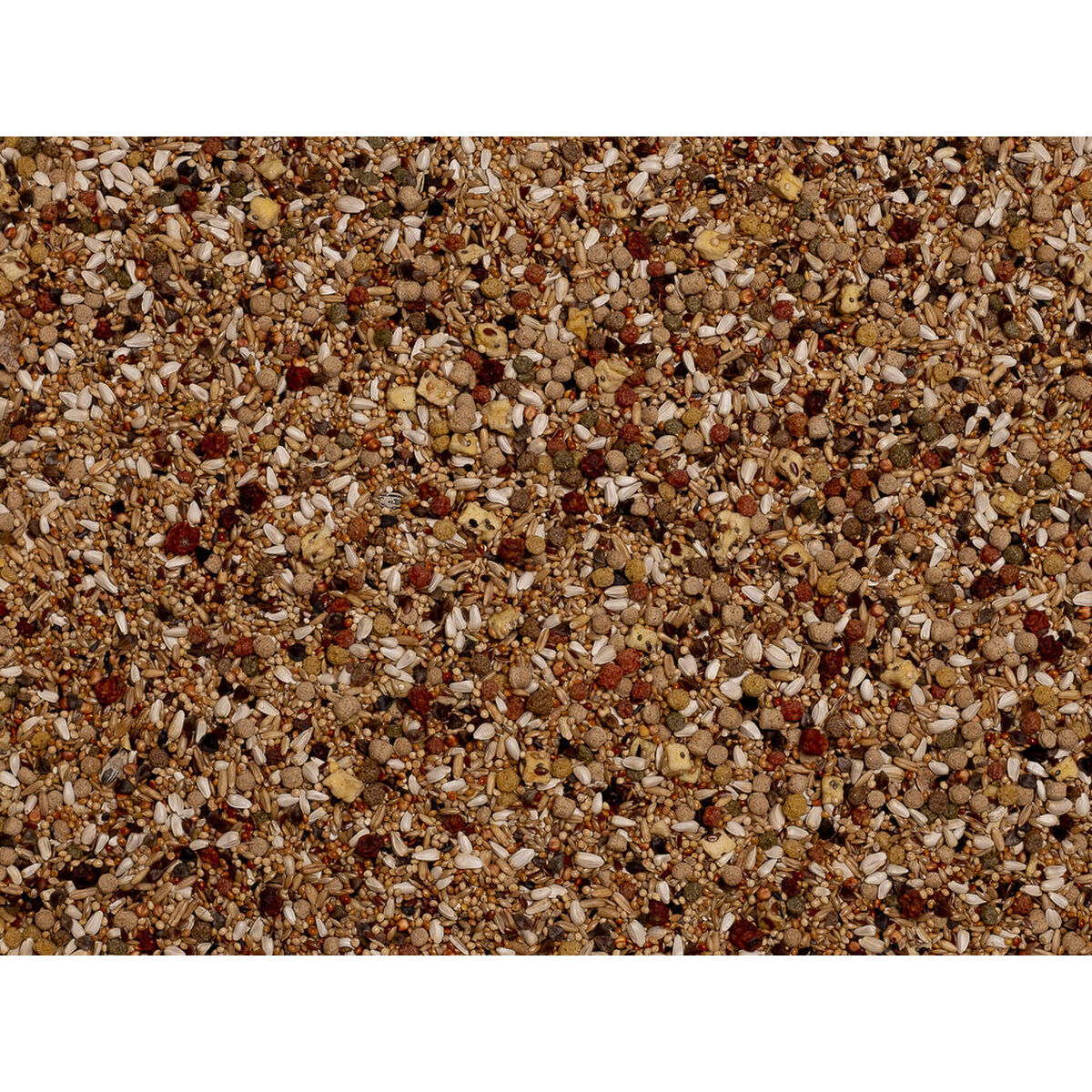 V7H1CC95846A2A6EDEC42D36761B91592C8R7450557P3