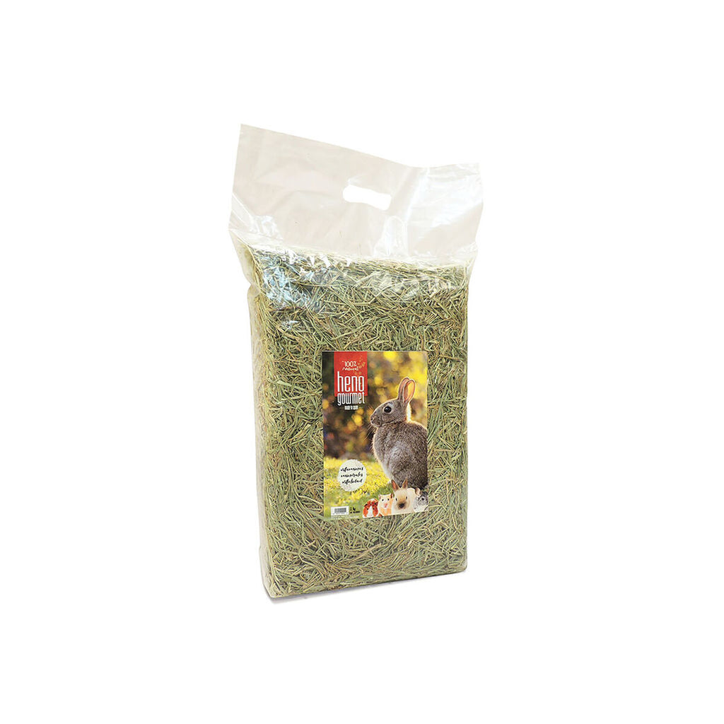 V6H2524E55588359586EBB0077C2D4733A9R7450918P1