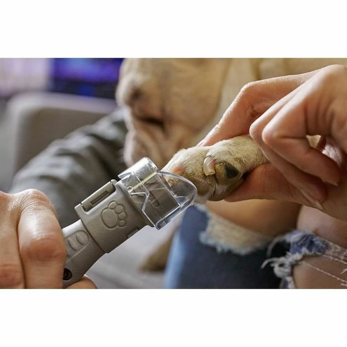 V8HF2307F831D1374BAF4B5A6458C803928R3744453P3